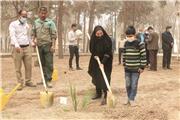 «درخت دوستی» زمینه‌ساز انتقال بین نسلی فرهنگ درختکاری است